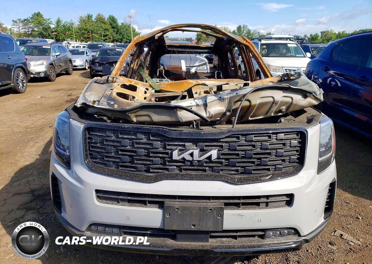 2022 Kia Telluride Sx VIN:5XYP5DHC8NG272447 - 5