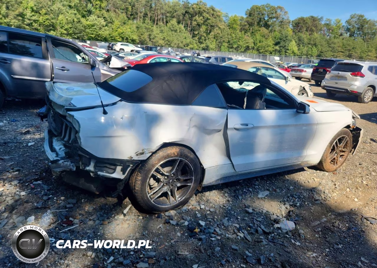 2023 Ford Mustang VIN:1FATP8UH7P5103958 - 3
