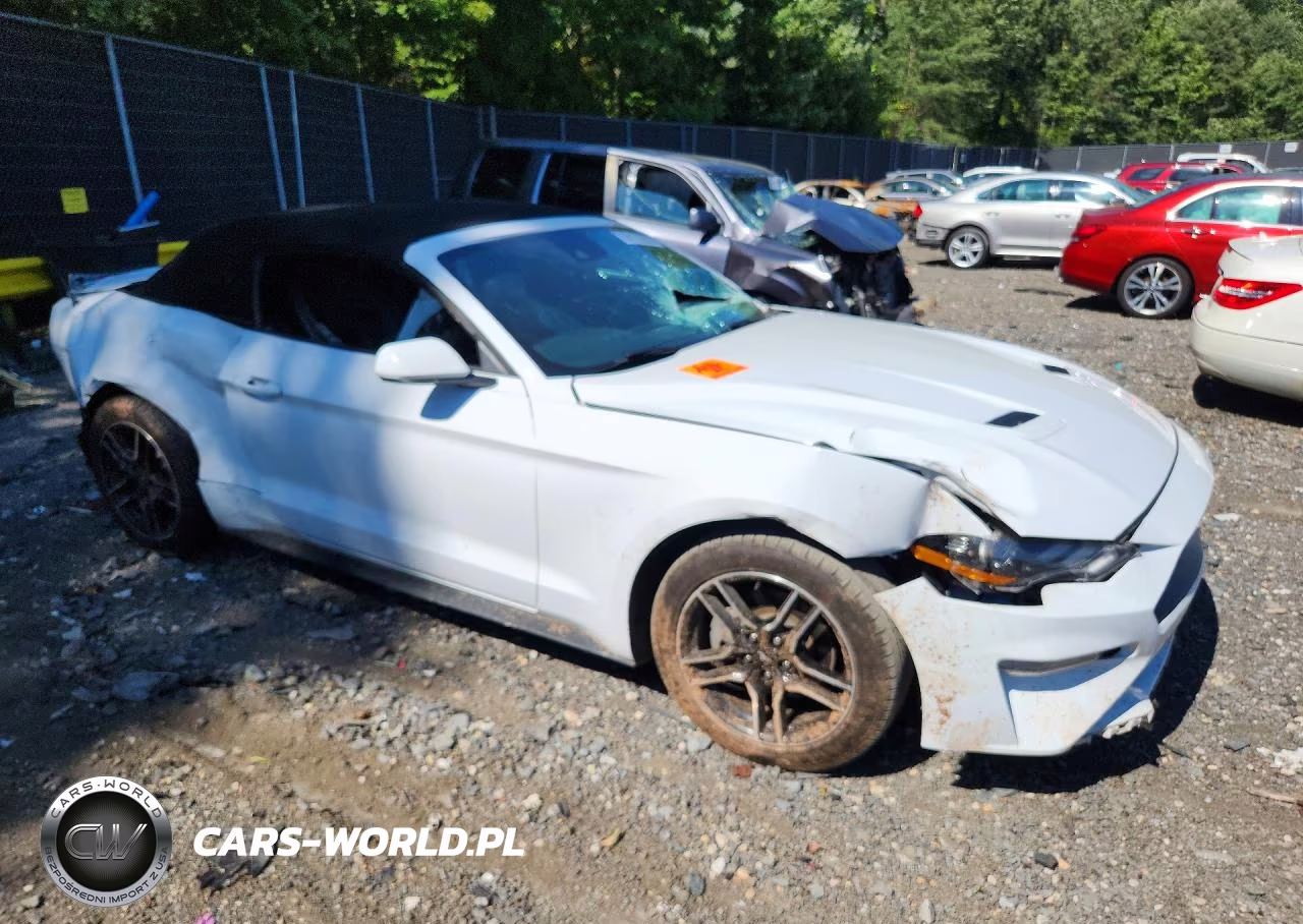 2023 Ford Mustang VIN:1FATP8UH7P5103958 - 4