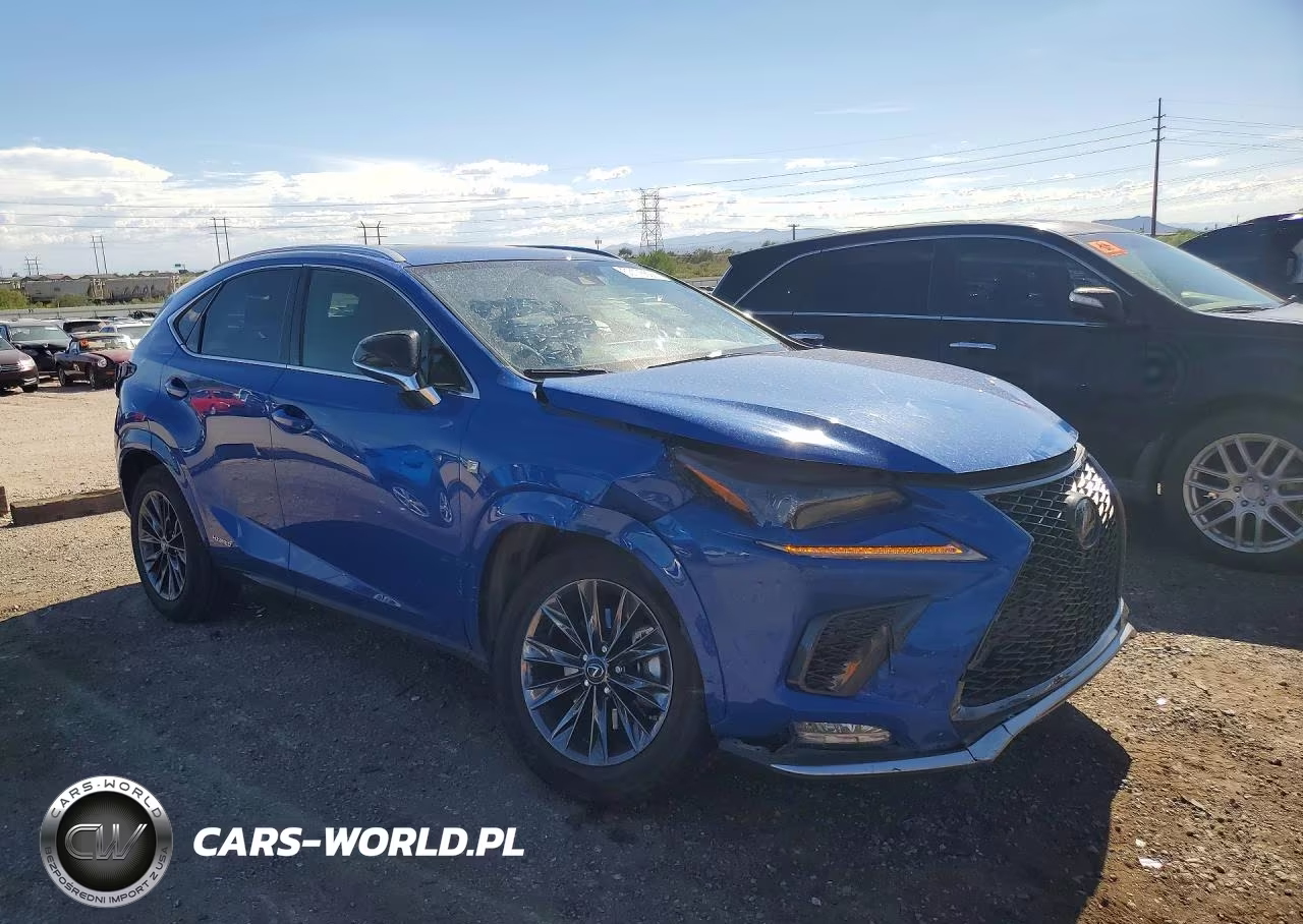 2021 Lexus Nx 300H F Sport Black Line VIN:JTJSJRDZ1M2150192 - 4