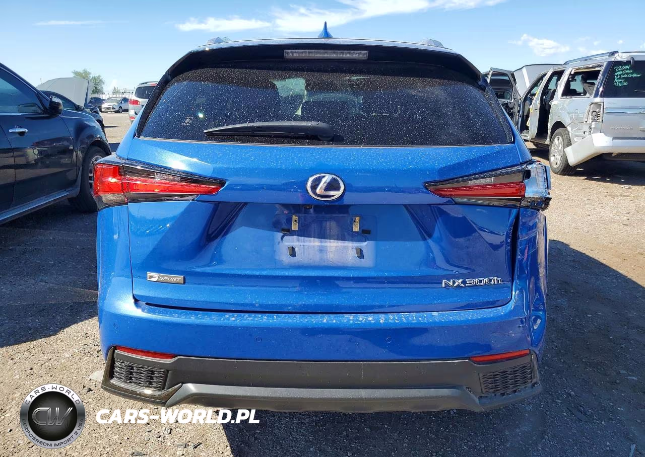 2021 Lexus Nx 300H F Sport Black Line VIN:JTJSJRDZ1M2150192 - 6