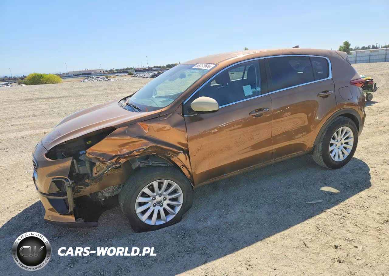 2020 Kia Sportage Lx VIN:KNDPM3AC7L7736667 - 1