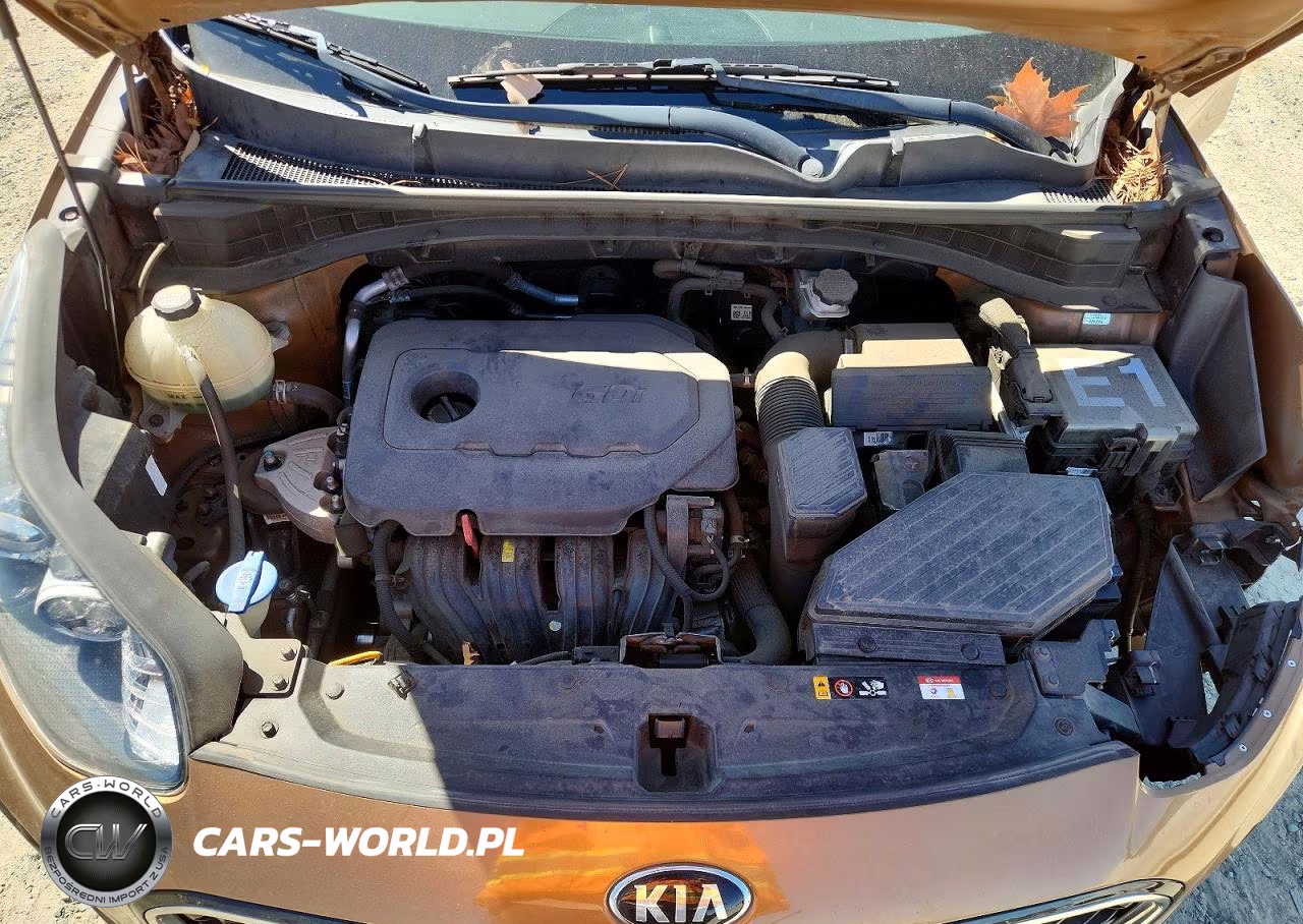 2020 Kia Sportage Lx VIN:KNDPM3AC7L7736667 - 11