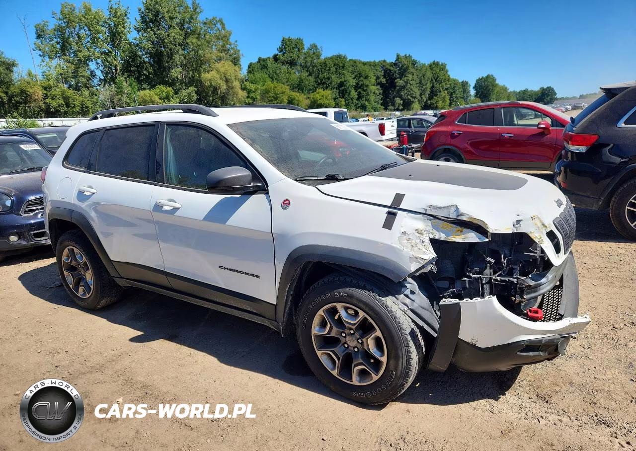 2019 Jeep Cherokee Trailhawk VIN:1C4PJMBX6KD422279 - 4