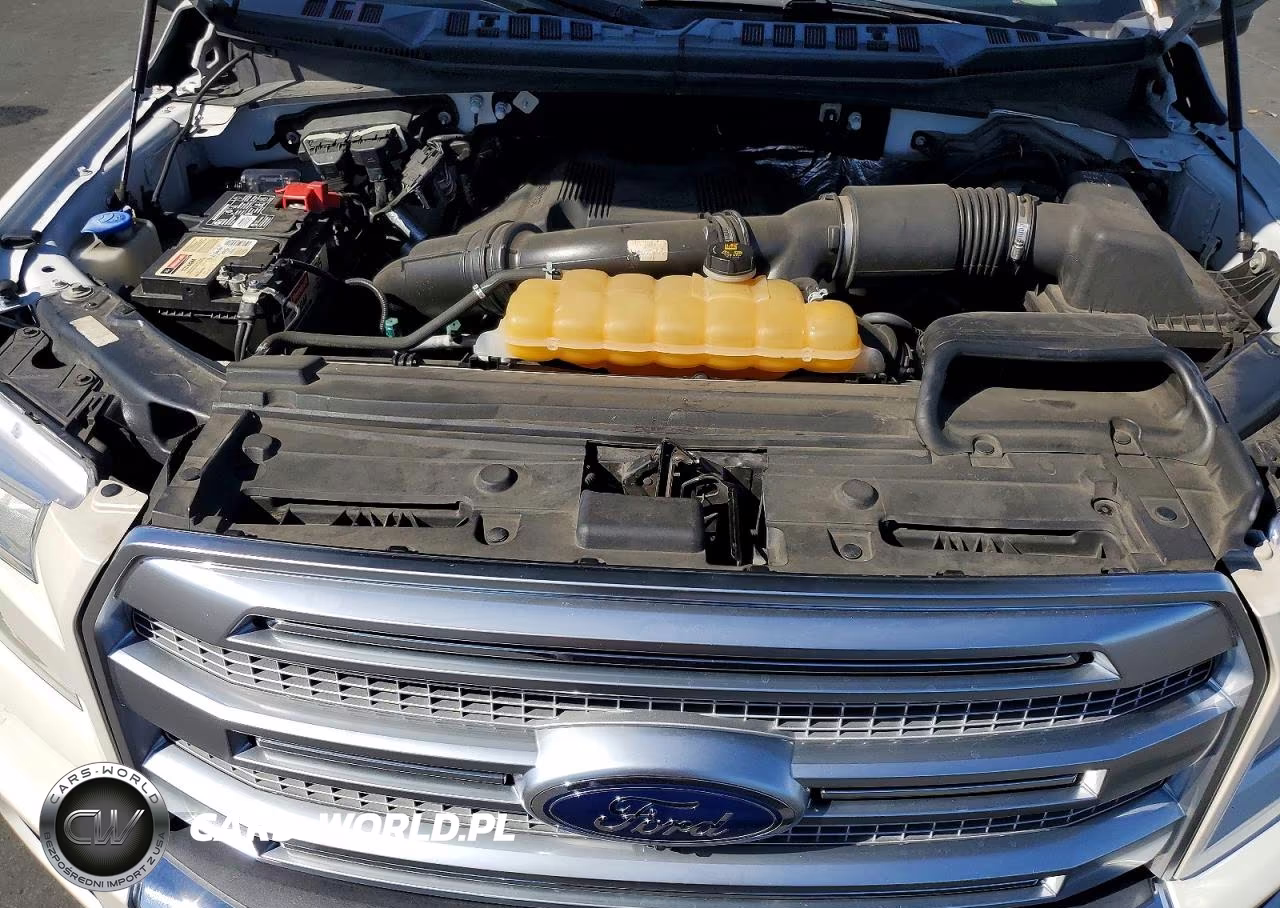 2017 Ford F150 Supercrew VIN:1FTEW1EG1HFB22424 - 11