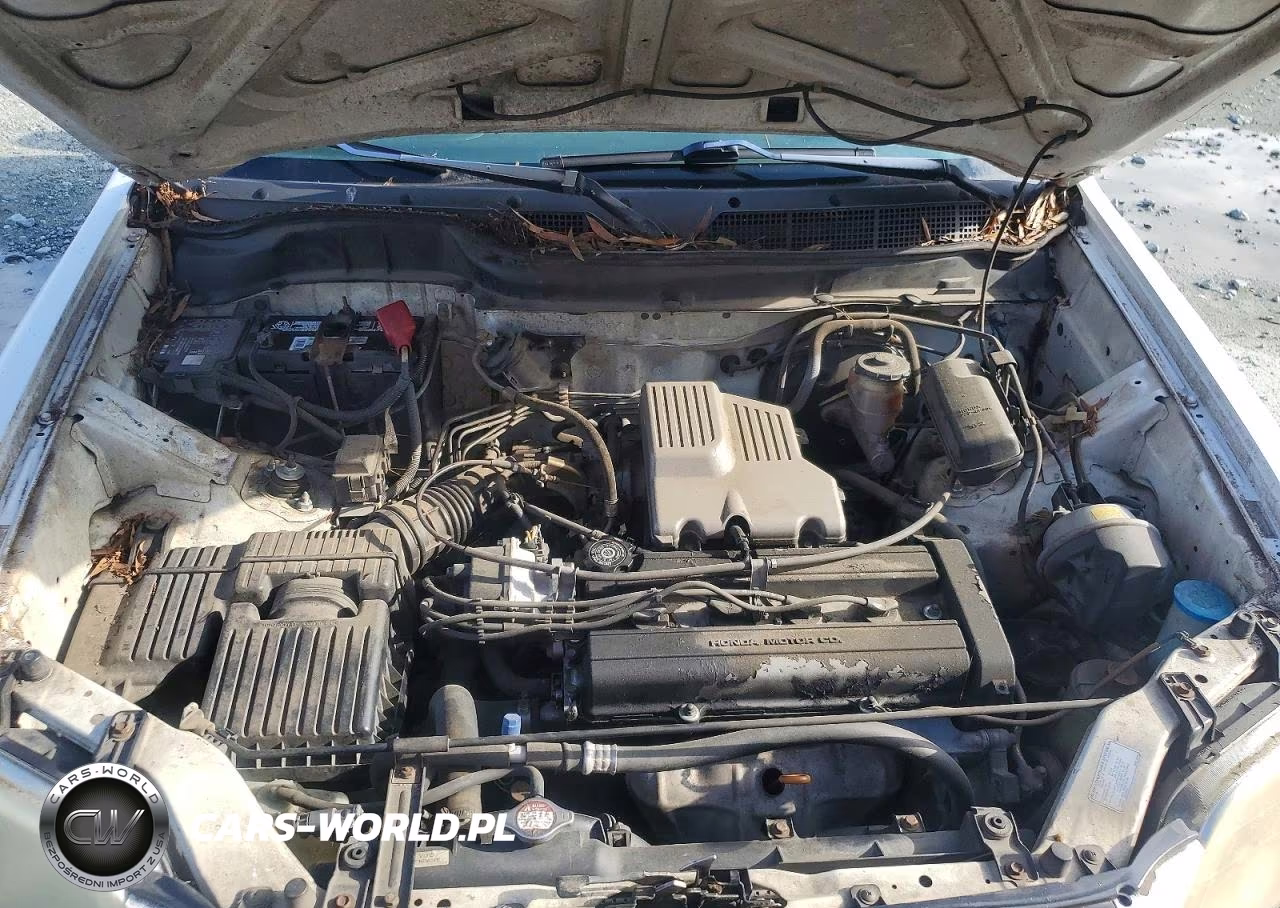 1999 Honda Cr-V Ex VIN:JHLRD1863XC070565 - 12
