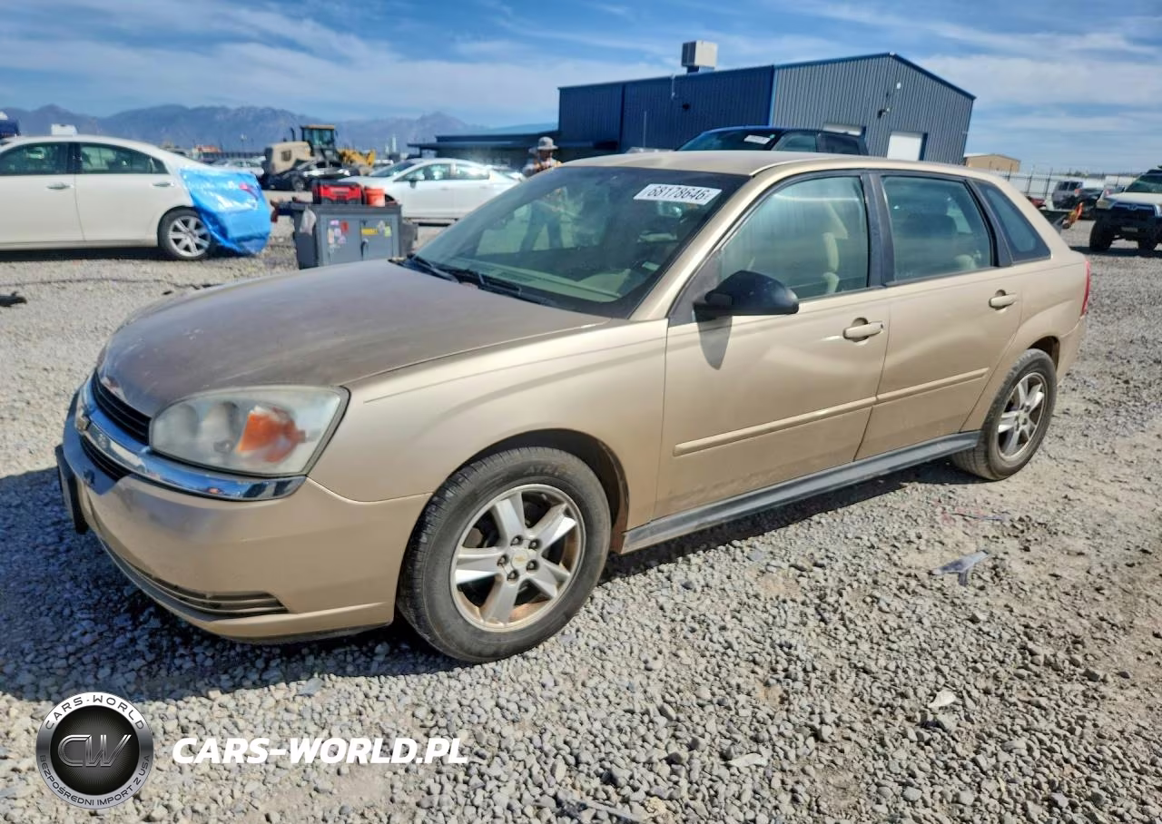 2005 Chevrolet Malibu Maxx Ls VIN:1G1ZT62895F310617 - 1