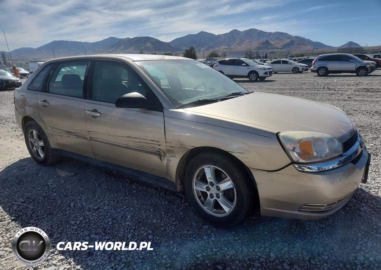 2005 Chevrolet Malibu Maxx Ls VIN:1G1ZT62895F310617 - 4