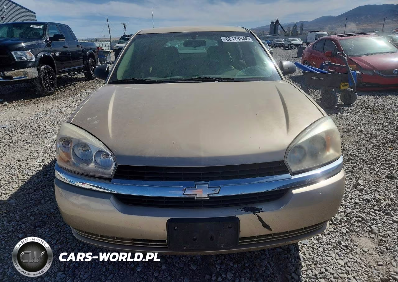 2005 Chevrolet Malibu Maxx Ls VIN:1G1ZT62895F310617 - 5