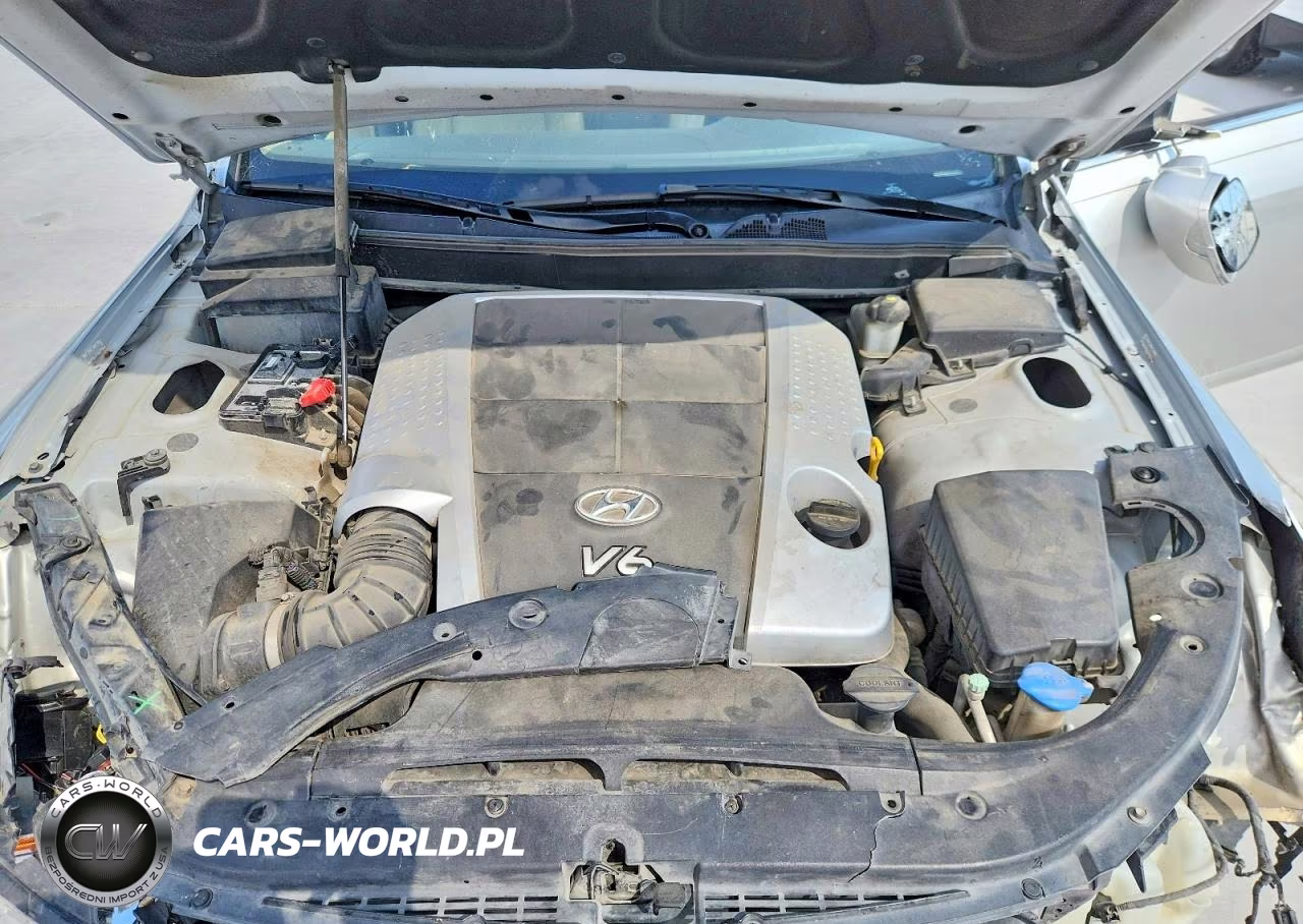 2009 Hyundai Genesis 3.8L VIN:KMHGC46E79U032865 - 11