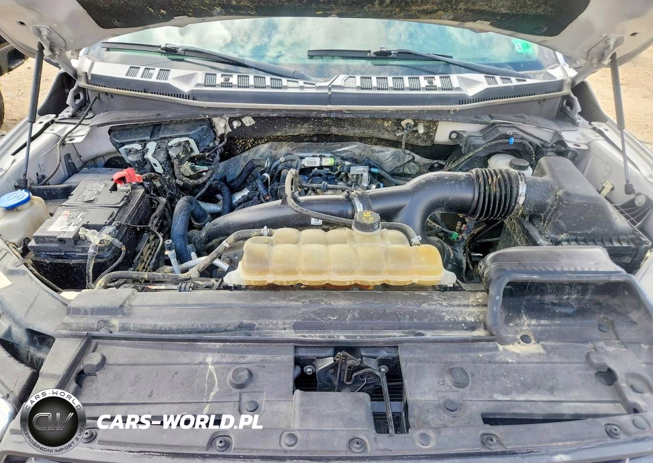 2020 Ford F150 Supercrew VIN:1FTEW1EP6LFB62930 - 11