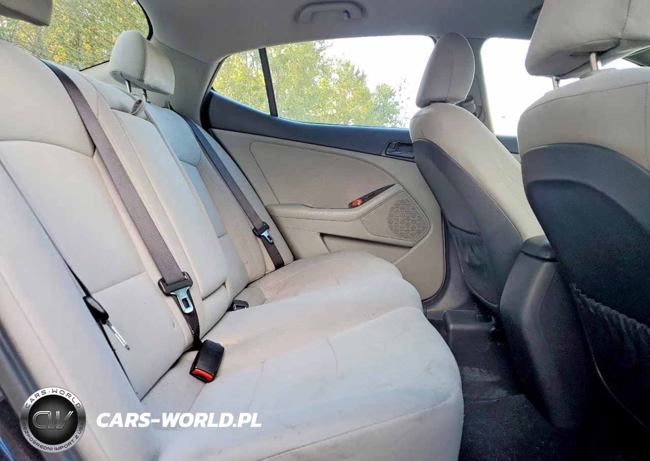 2015 Kia Optima Lx VIN:KNAGM4A73F5615558 - 10