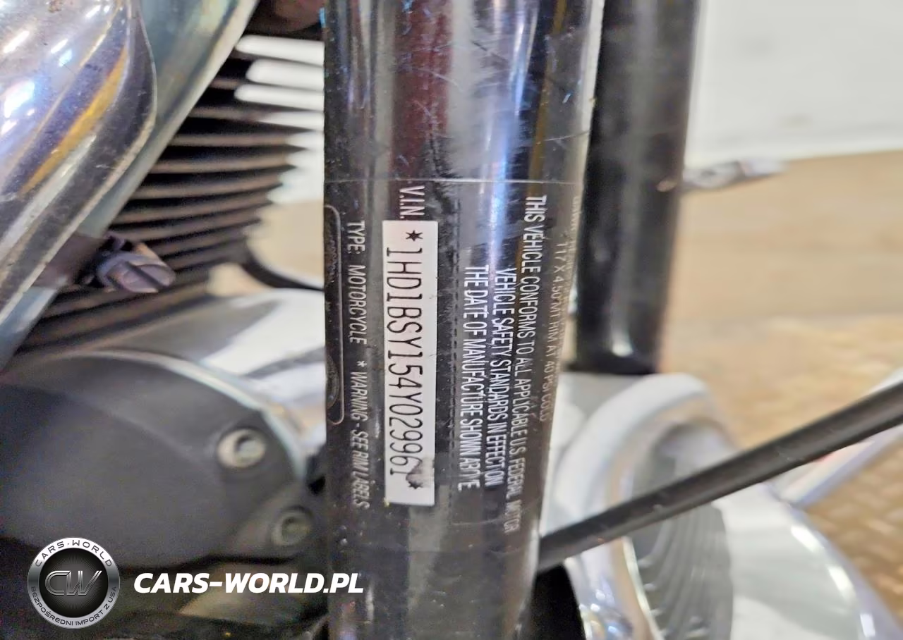 2004 Harley-Davidson Fxstd VIN:1HD1BSY154Y029961 - 10