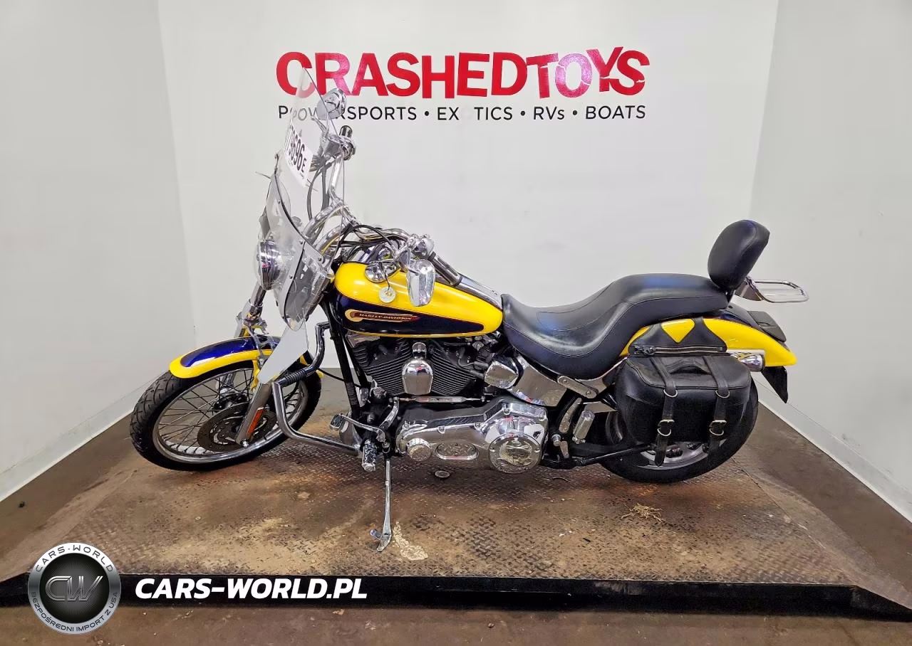 2004 Harley-Davidson Fxstd VIN:1HD1BSY154Y029961 - 3