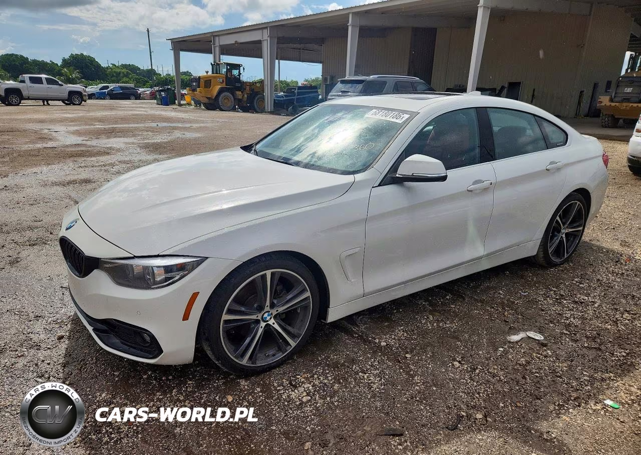 2019 BMW 430I Gran Coupe VIN:WBA4J1C58KBU67344 - 1