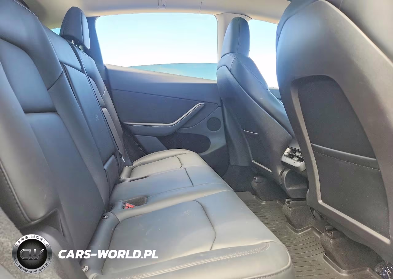 2023 Tesla Model Y VIN:7SAYGDEE5PA125680 - 10