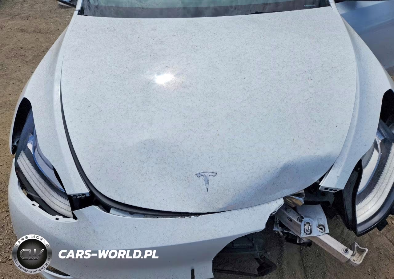 2023 Tesla Model Y VIN:7SAYGDEE5PA125680 - 11