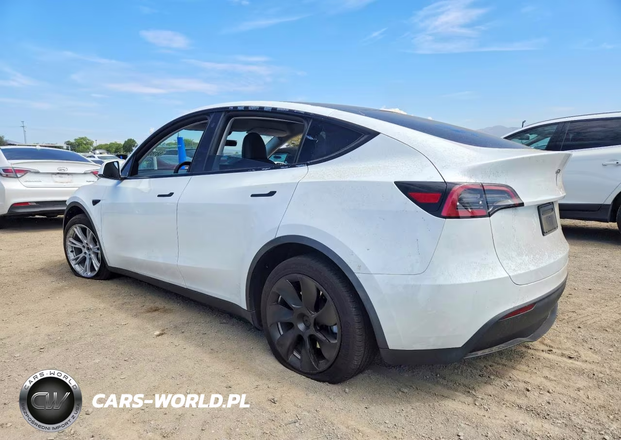 2023 Tesla Model Y VIN:7SAYGDEE5PA125680 - 2