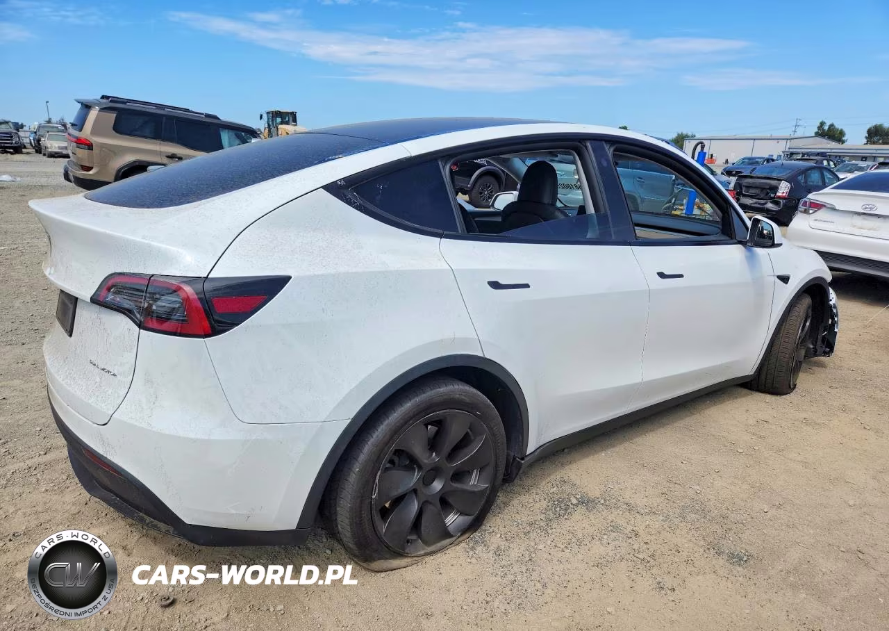 2023 Tesla Model Y VIN:7SAYGDEE5PA125680 - 3