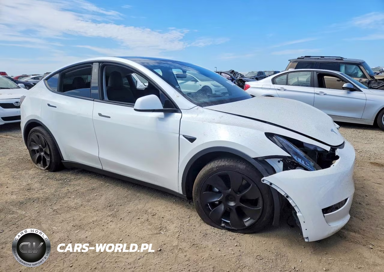 2023 Tesla Model Y VIN:7SAYGDEE5PA125680 - 4