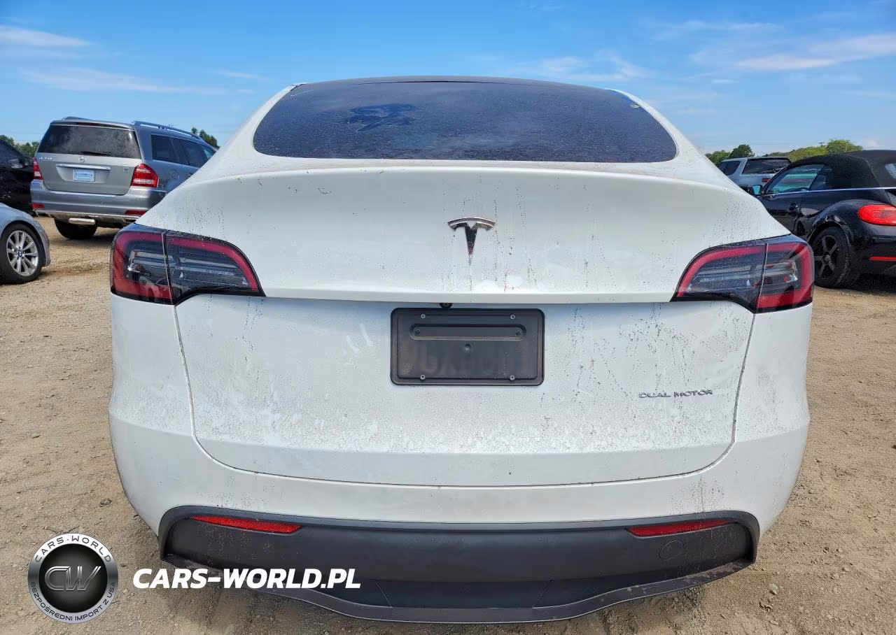 2023 Tesla Model Y VIN:7SAYGDEE5PA125680 - 6