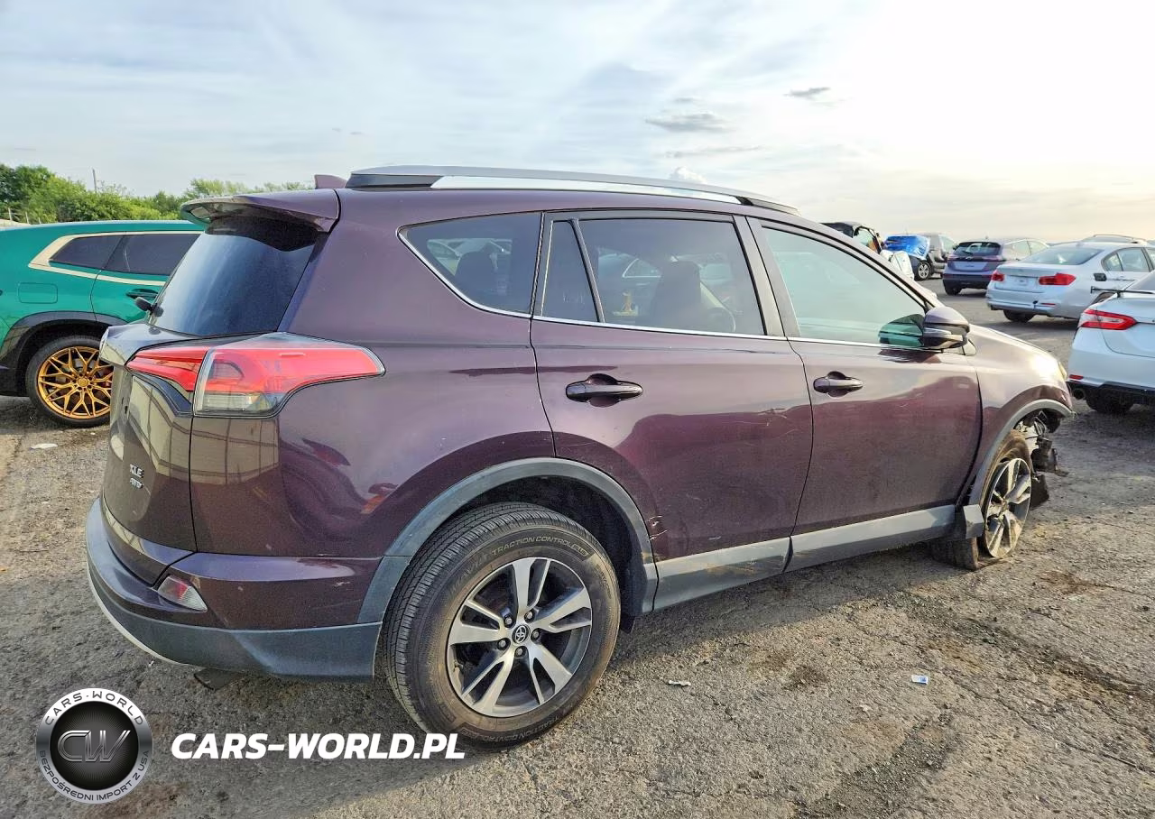 2016 Toyota Rav4 Xle VIN:2T3RFREV0GW492694 - 3