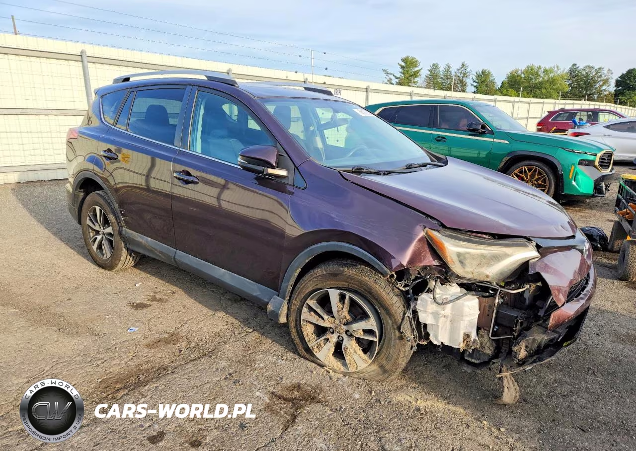 2016 Toyota Rav4 Xle VIN:2T3RFREV0GW492694 - 4