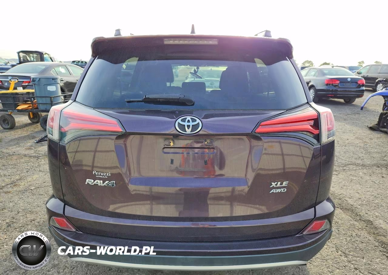 2016 Toyota Rav4 Xle VIN:2T3RFREV0GW492694 - 6