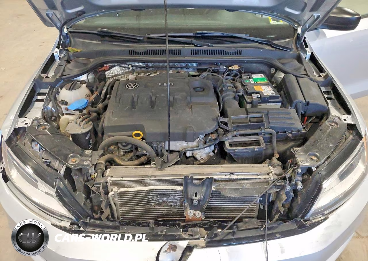 2015 Volkswagen Jetta Tdi VIN:3VWLA7AJ6FM286921 - 11
