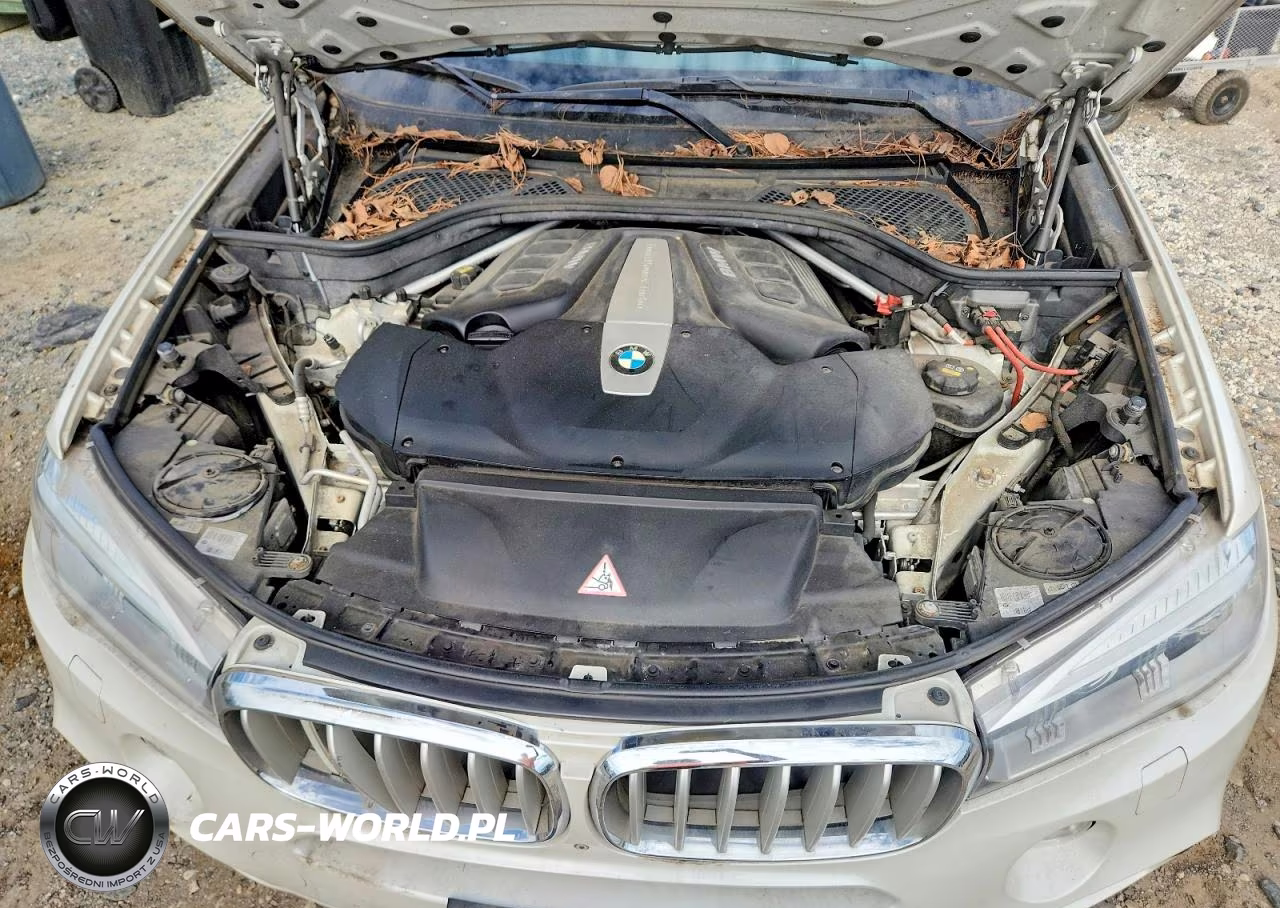 2015 BMW X5 xDrive50I VIN:5UXKR6C57F0J76043 - 12