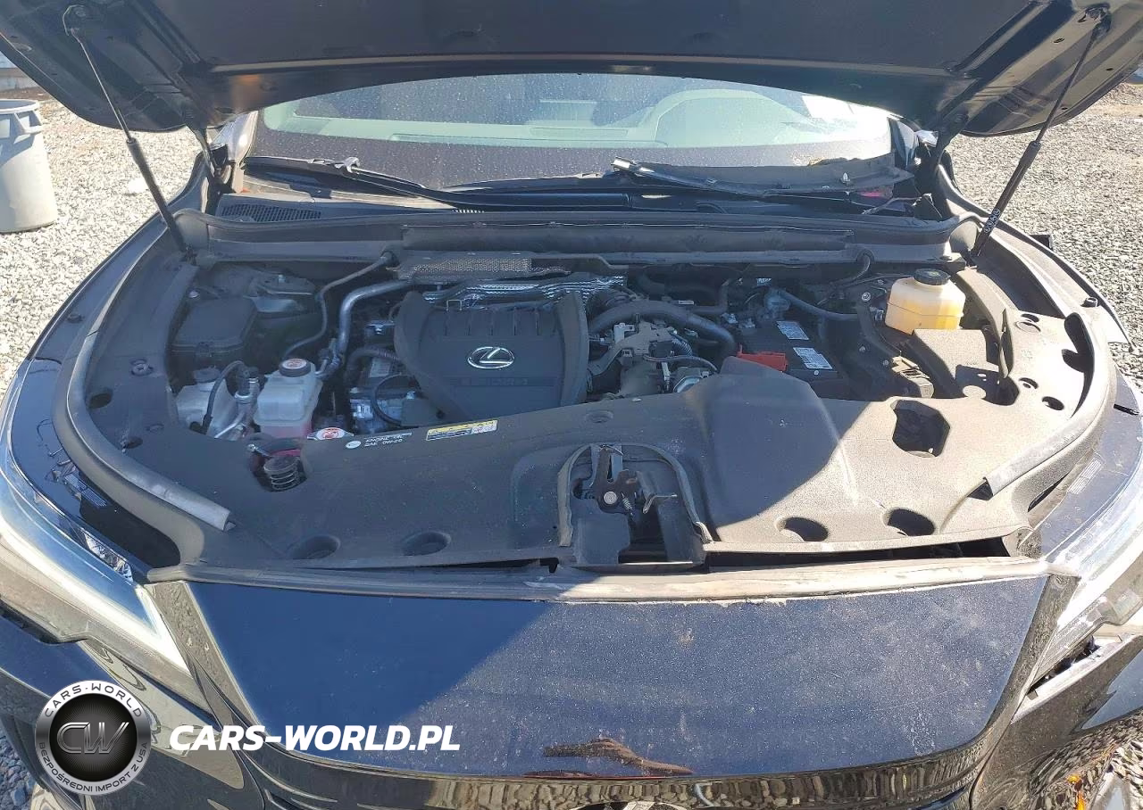 2024 Lexus Rx 350 Premium VIN:2T2BAMCA3RC080278 - 12