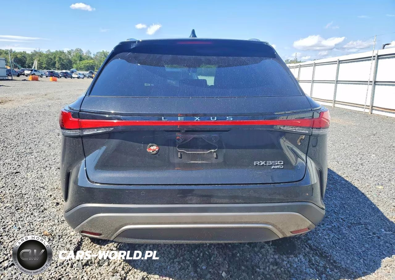 2024 Lexus Rx 350 Premium VIN:2T2BAMCA3RC080278 - 6