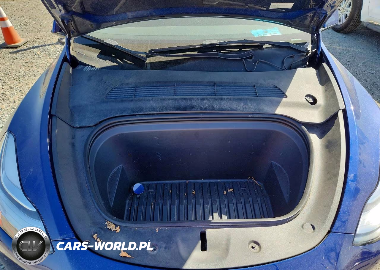 2023 Tesla Model Y VIN:7SAYGDEE3PA086541 - 12
