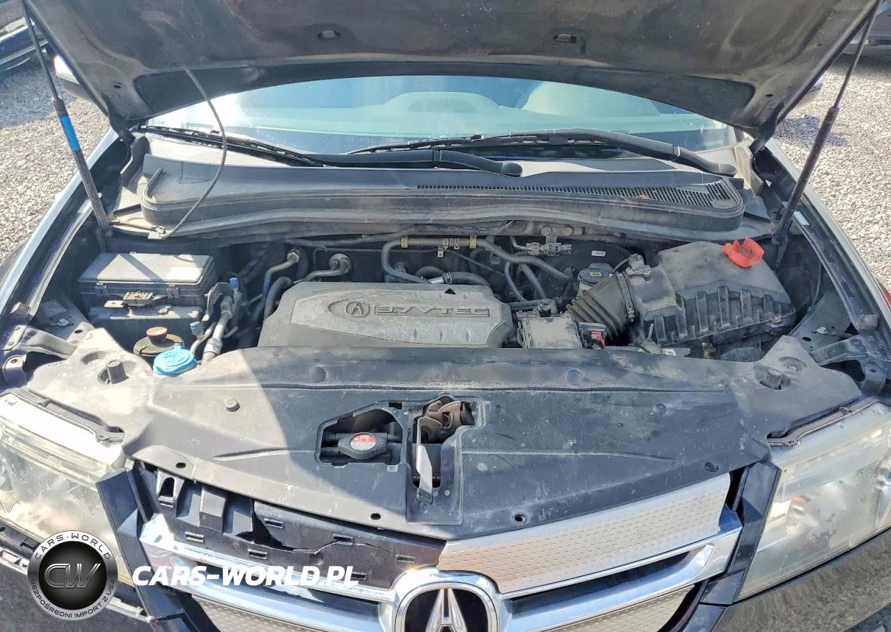 2009 Acura Mdx VIN:2HNYD28219H529226 - 12