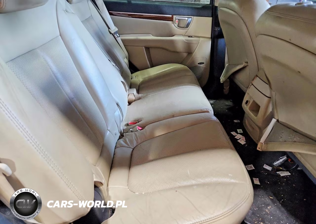 2009 Hyundai Santa Fe Limited VIN:5NMSH73E29H263993 - 10