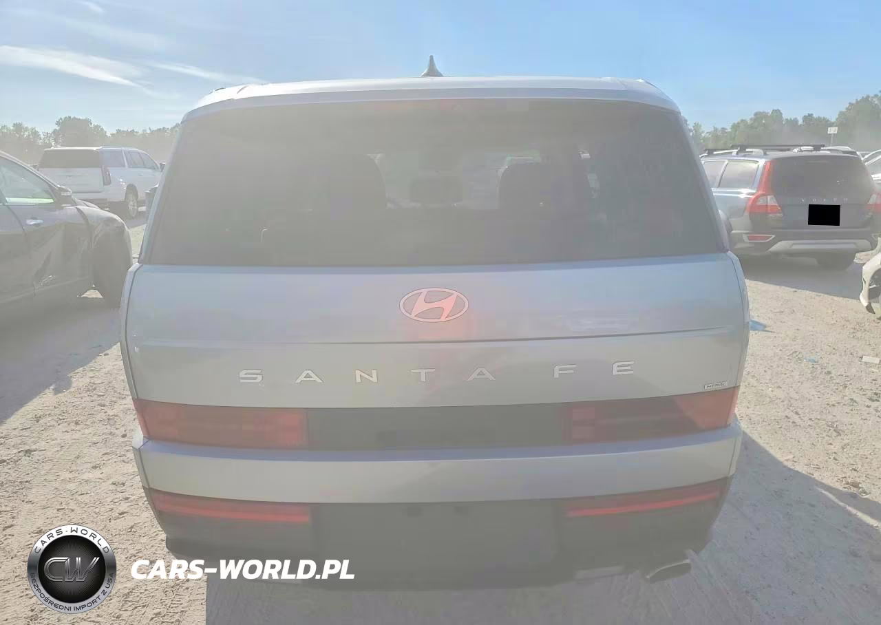 2024 Hyundai Santa Fe Se VIN:5NMP1DGL3RH039939 - 6