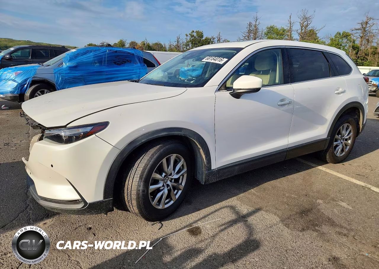 2019 Mazda Cx-9 Touring VIN:JM3TCBCY3K0317265 - 1