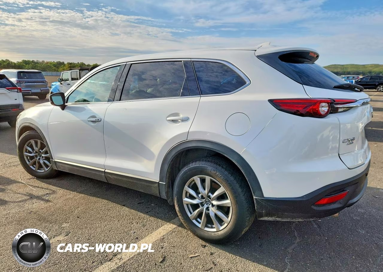 2019 Mazda Cx-9 Touring VIN:JM3TCBCY3K0317265 - 2