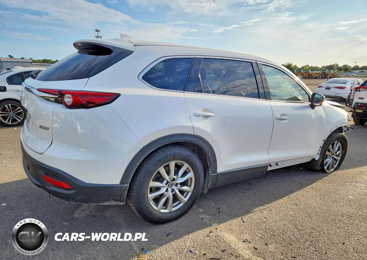 2019 Mazda Cx-9 Touring VIN:JM3TCBCY3K0317265 - 3
