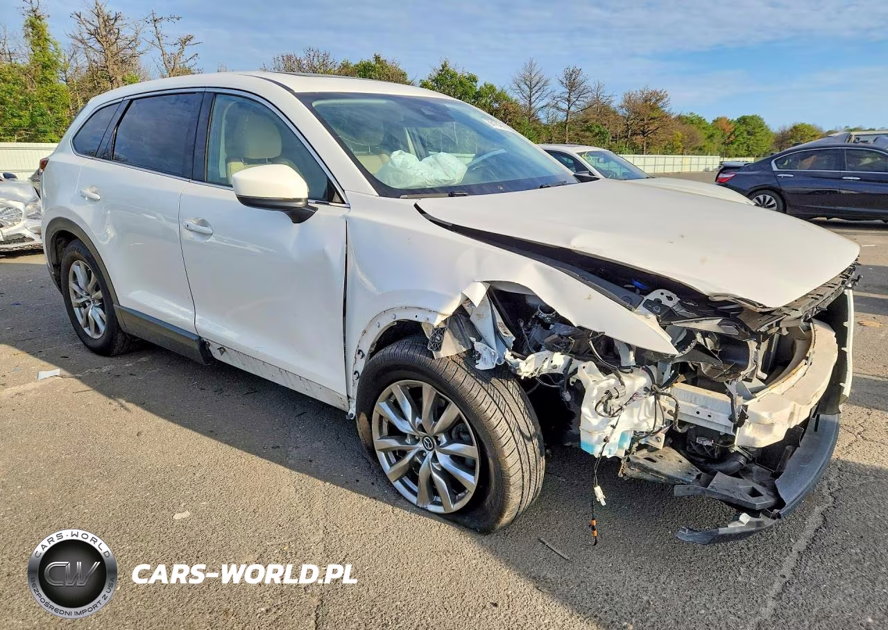 2019 Mazda Cx-9 Touring VIN:JM3TCBCY3K0317265 - 4