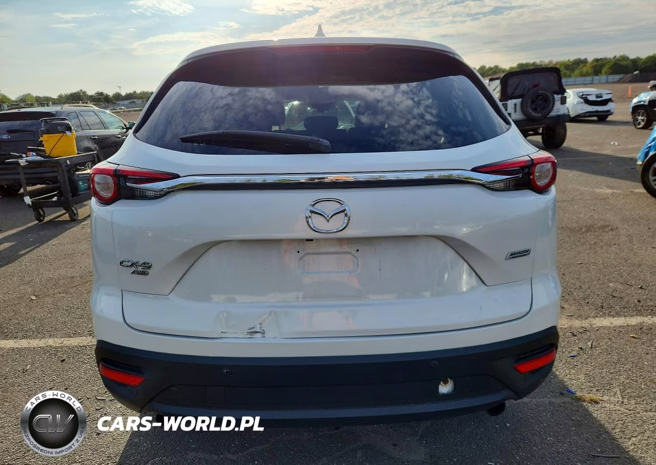 2019 Mazda Cx-9 Touring VIN:JM3TCBCY3K0317265 - 6
