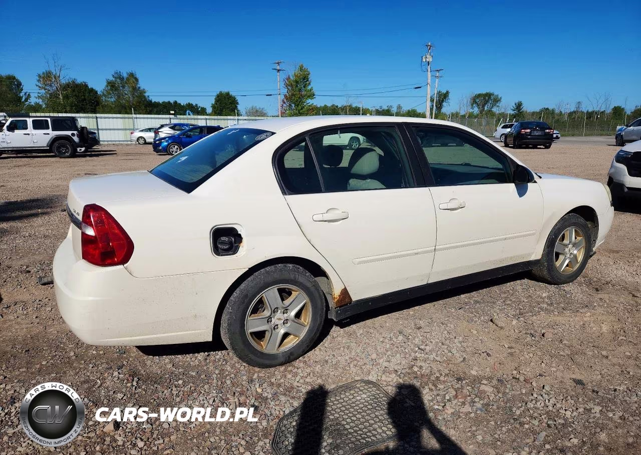 2004 Chevrolet Malibu Ls VIN:1G1ZT54874F167639 - 3