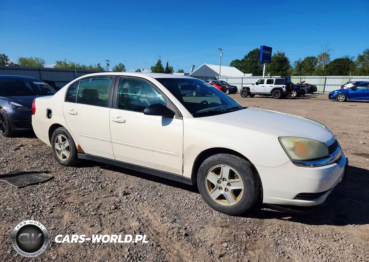 2004 Chevrolet Malibu Ls VIN:1G1ZT54874F167639 - 4