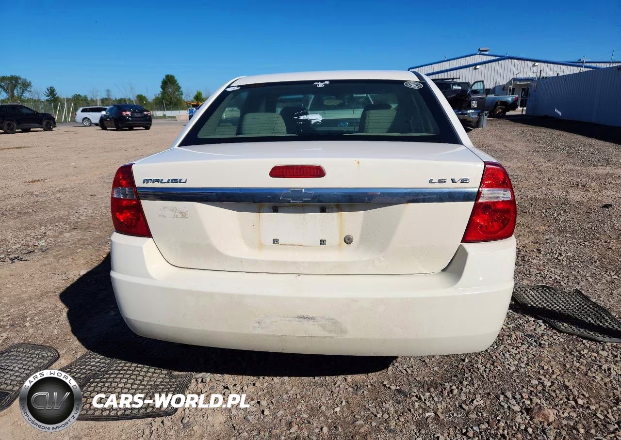 2004 Chevrolet Malibu Ls VIN:1G1ZT54874F167639 - 6
