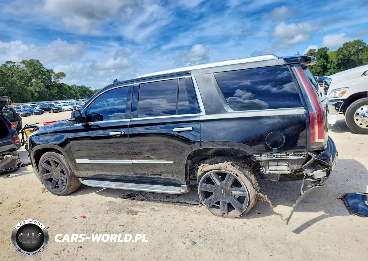 2018 Cadillac Escalade Luxury VIN:1GYS4BKJ9JR115041 - 2