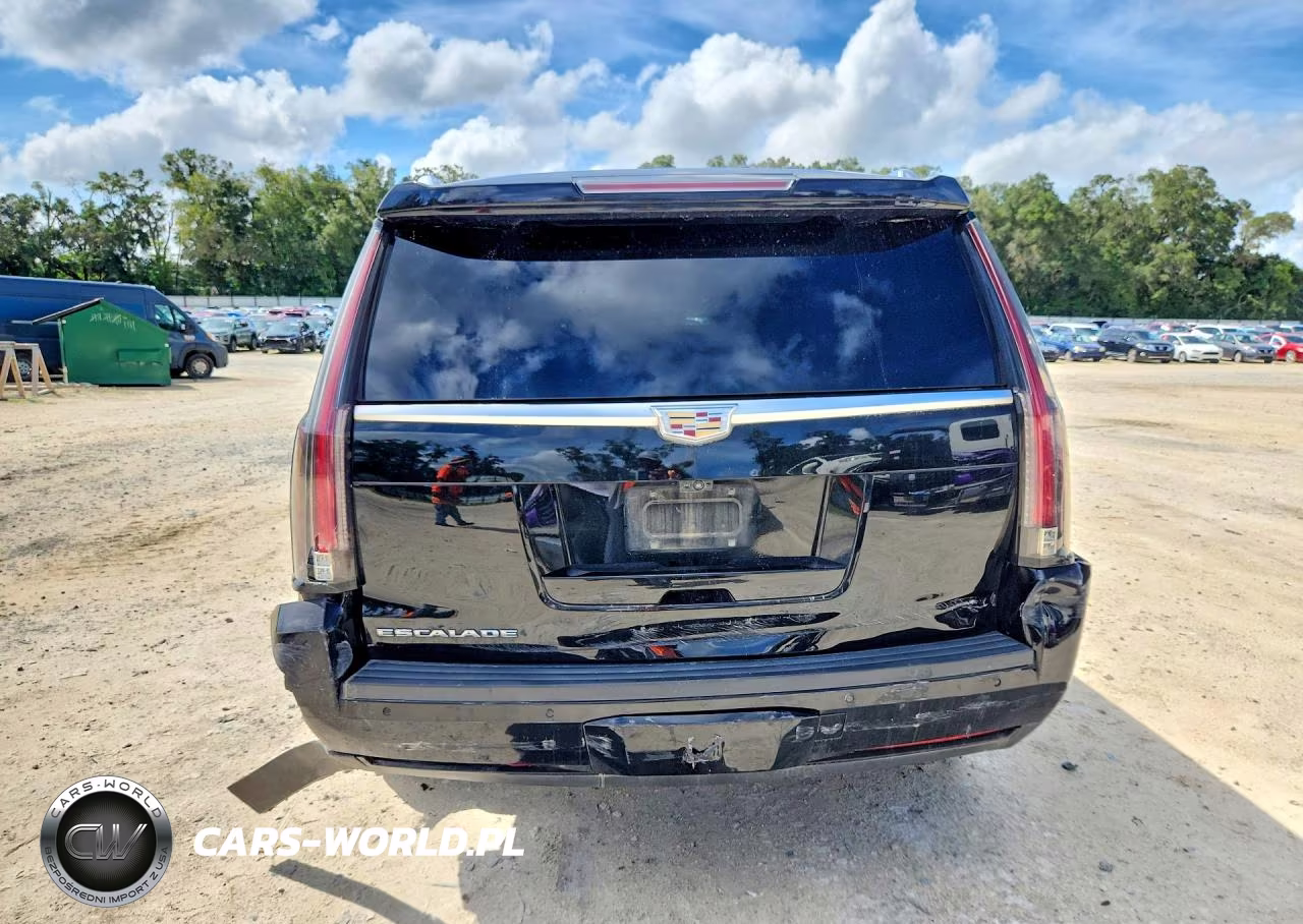 2018 Cadillac Escalade Luxury VIN:1GYS4BKJ9JR115041 - 6
