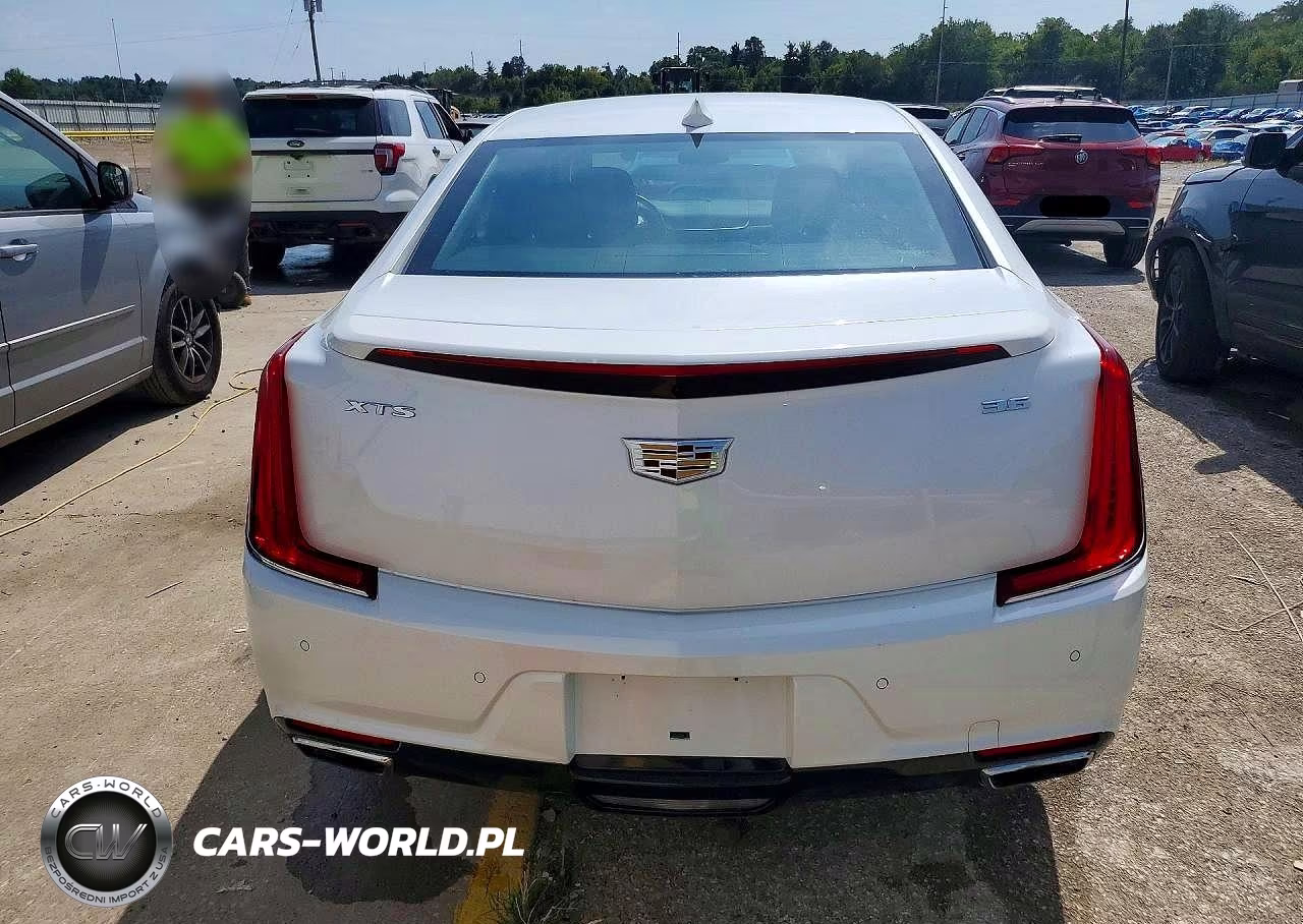 2019 Cadillac Xts Luxury VIN:2G61M5S33K9130248 - 6