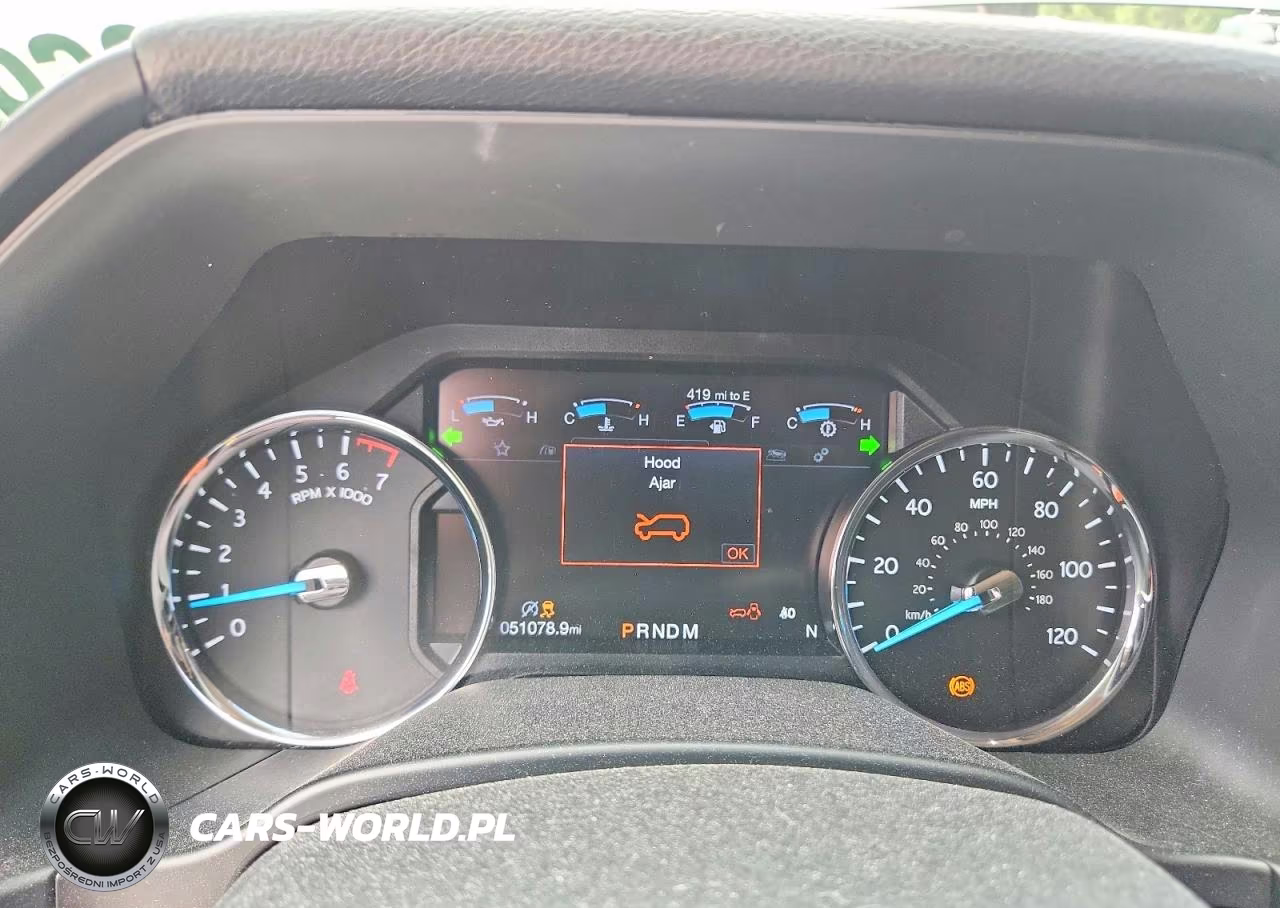 2019 Ford Expedition Max Platinum VIN:1FMJK1LT0KEA65197 - 9