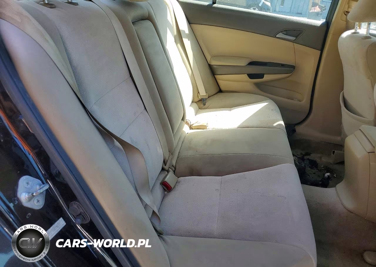 2010 Honda Accord Lxp VIN:1HGCP2F48AA056828 - 10