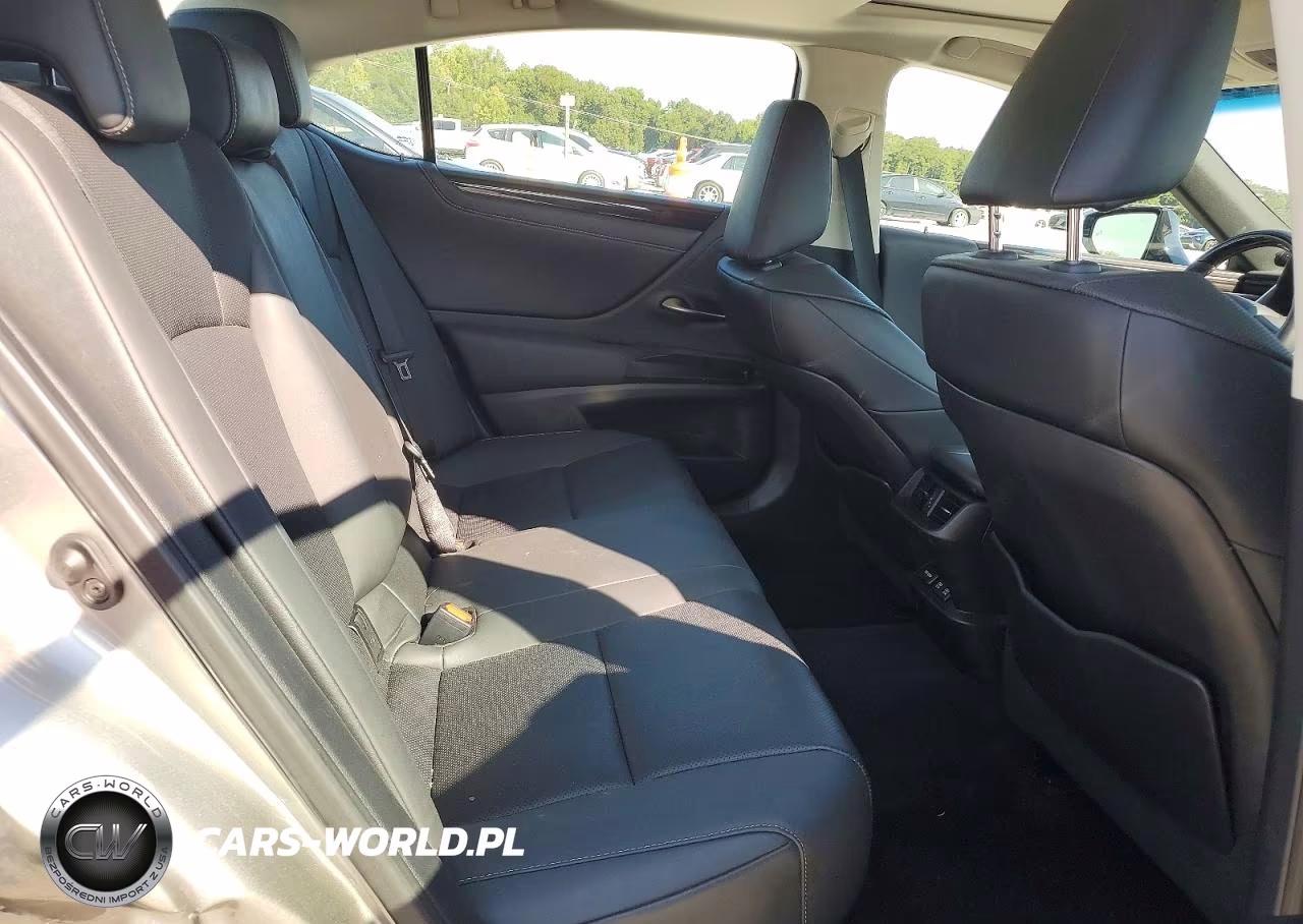 2021 Lexus Es 250 Base VIN:58AD11D10MU001403 - 10